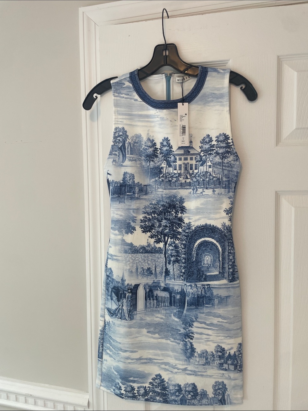 Alice + Olivia Blue and White Scenic Mini Dress - Picture 5 of 9